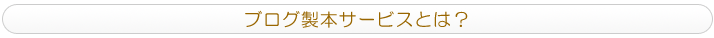 �u���O���{�T�[�r�X�Ƃ́H