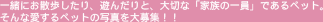 �ꏏ�ɂ��U��������A�V�񂾂�ƁA��؂ȁu�Ƒ��̈���v�ł���y�b�g�B����Ȉ�����y�b�g�̎ʐ^����W�I�I