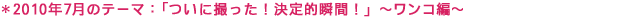 2010�N7���̃e�[�}�F�u���ɎB�����I����I�u�ԁI�v 