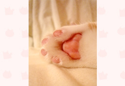 �����s�̒��X�����i���j