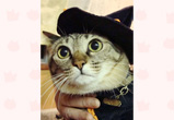 �ʐ^�F�������̂��тɂ�񂿂��i���j