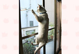 �ʐ^�F�����s�̗��n�����i���j