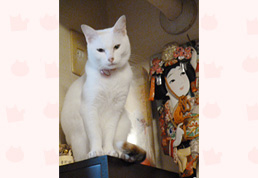 �����s�̕������i���j