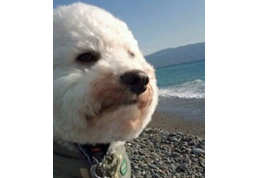 �R������Julian�����i���j 