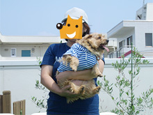 �ʐ^