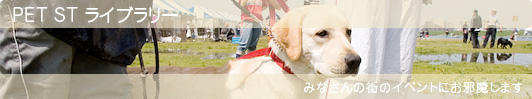 �C�܂����ޓ��L