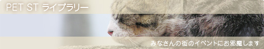 �C�܂����ޓ��L