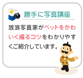 ����Ɏʐ^�u��