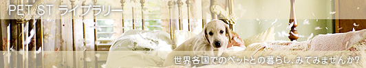 ���E�̃y�b�g�Ƃ̕�炵