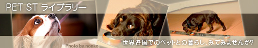 ���E�̃y�b�g�Ƃ̕�炵