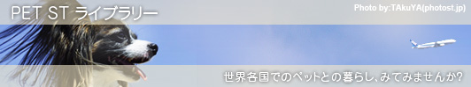 ���E�̃y�b�g�Ƃ̕�炵