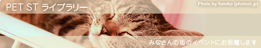 ���E�̃y�b�g�Ƃ̕�炵