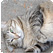 �g�u���h�ʐ^���Ȃ����I�`��ʑ̃u���΍��ҁ`