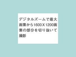 �ʐ^