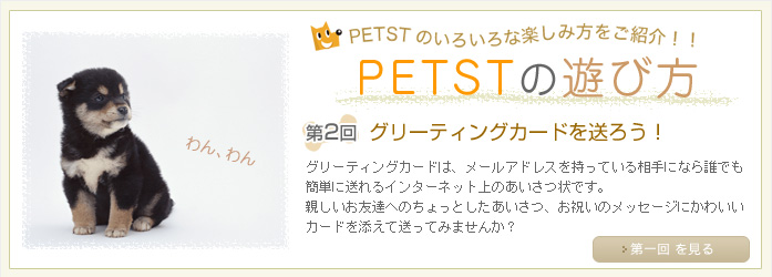 PET ST�̗V�ѕ�