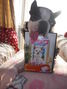 �W�����G�b�^�E�W���W���E���U���A�[�i�����̃u���O