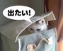 �ɗ��i�݂ǂ�j�����̃u���O