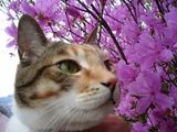 りんちゃんのMY ROOM