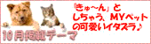 �t�H�g�R���e�X�g �G���g���[��t���I�I
