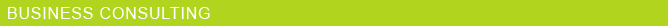 BUSINESS CONSULTING