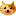 猫 猫