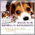 ���̂��߂�DVD / ���Ȃ������Ȃ��Ƃ��̂��߂�
